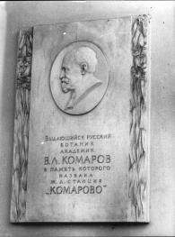 Мемориальная доска В. Л. Комарову (железнодорожная станция "Комарово")