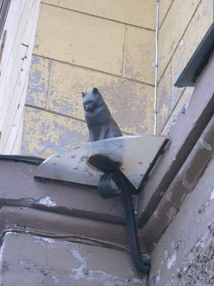 Кот на Малой Садовой улице. Фото В. Лурье с сайта http://www.petrograph.ru/