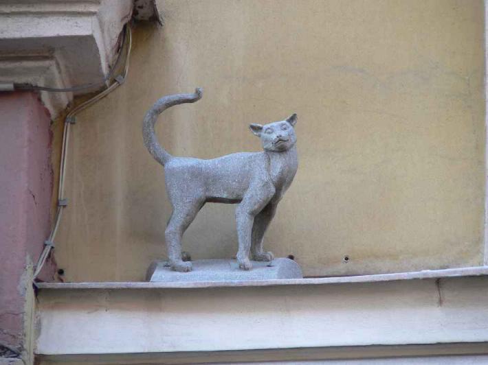 Кошка на Малой Садовой. Фото В. Лурье с сайта http://www.petrograph.ru/