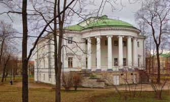 Estate of M.V. Kochubey (the Reserve palace, the Vladimir Palace).