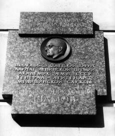 Шамову В. Н.