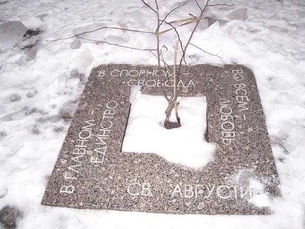 Дерево мира. Фото с сайта http://www.genling.nw.ru/