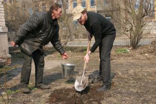Бездомные сажают вишневые деревья на Боровой улице. 2006